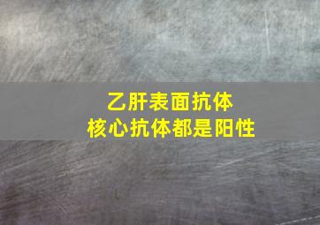 乙肝表面抗体 核心抗体都是阳性